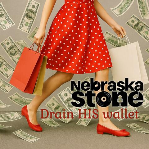 Drain HIS wallet album art
