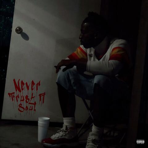 Never Trust A Soul album art