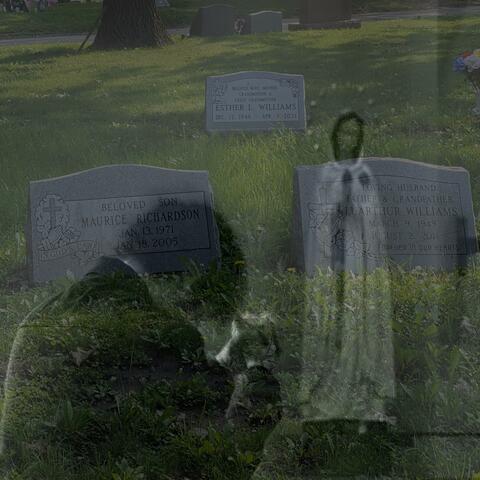 FALL TO MY KNEES album art