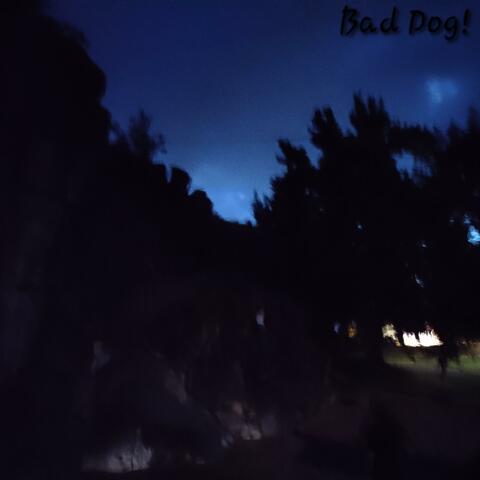 brad smalls album art