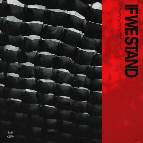 IF WE STAND (Live) album art