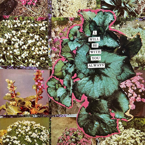 Rut album art