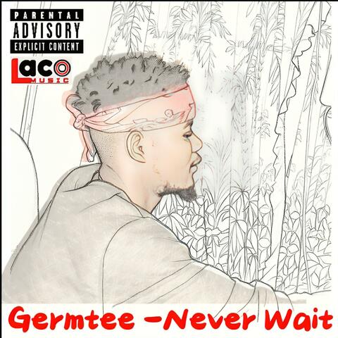 Never Wait album art