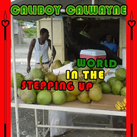 Stepping Up in the World album art