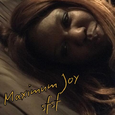 Maximum Joy album art
