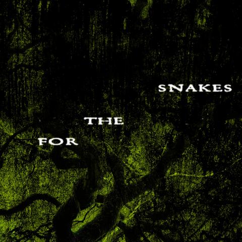 hyperbloom album art