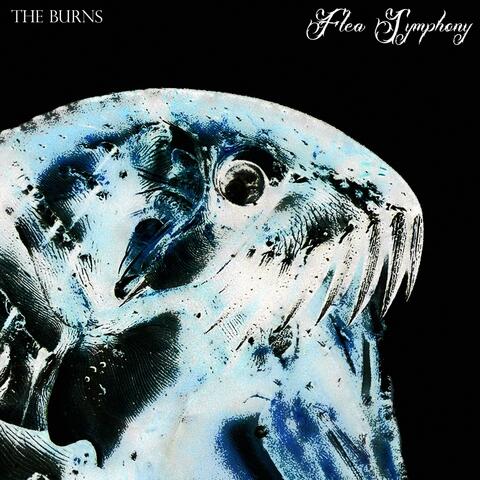Flea Symphony album art