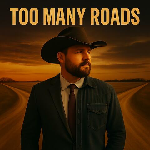 Too Many Roads album art