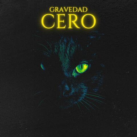 Gravedad cero album art