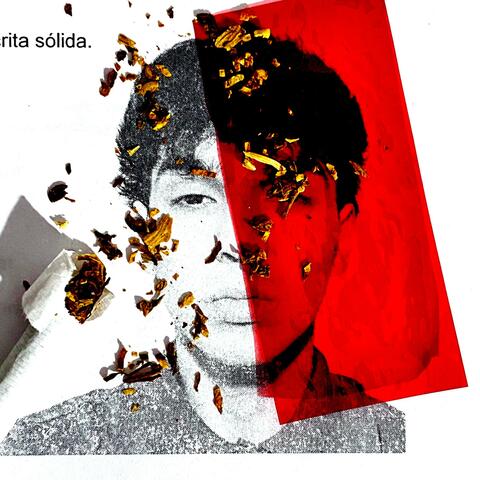 CURRICULUM VITAE album art