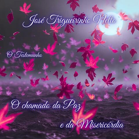 O Chamado da Paz e da Misericórdia (feat. José Trigueirinho Netto) album art