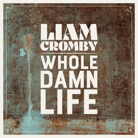 WHOLE DAMN LIFE album art