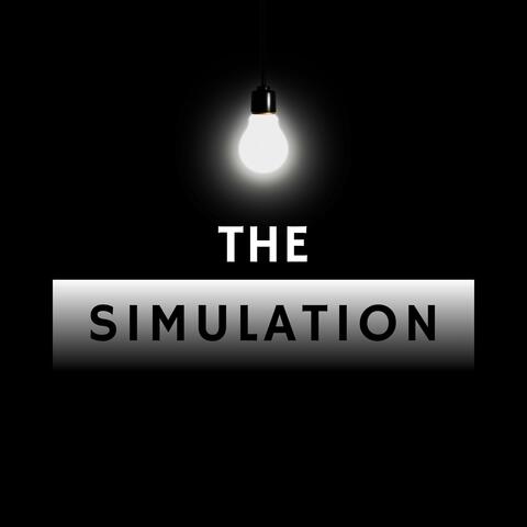 The Simulation album art