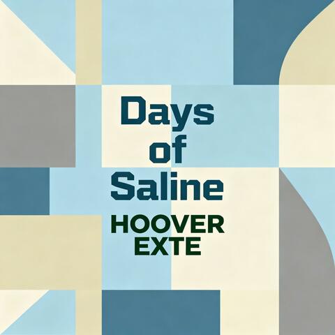 Days of Saline album art