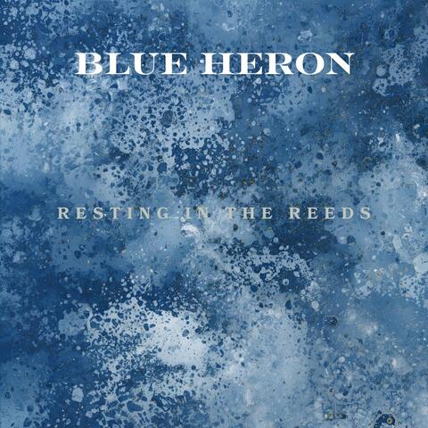 Resting in the Reeds album art