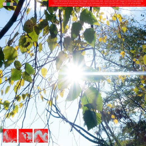 Wind Still Catches Me album art