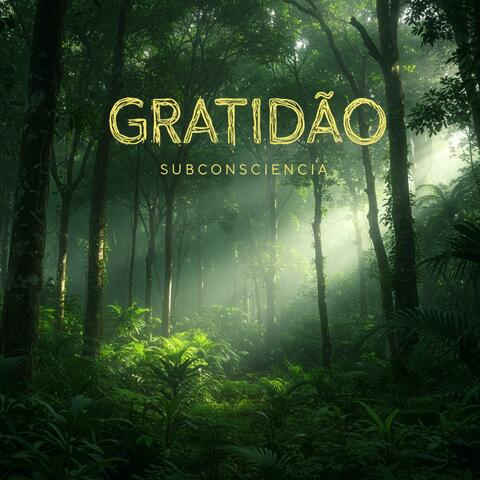 Gratidão album art