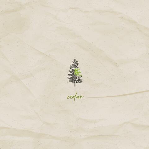 cedar album art
