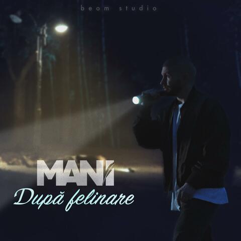 După felinare album art