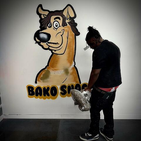 Chase A Check album art