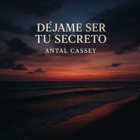 DEJAME SER TU SECRETO album art