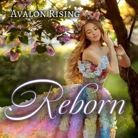 Reborn album art