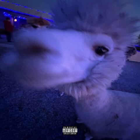 One Minute Freestyle album art