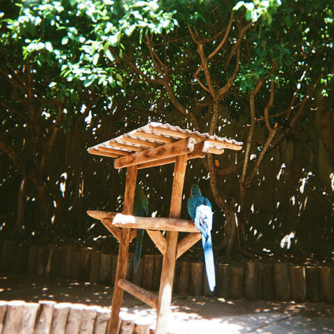 You Were The Sunshine album art