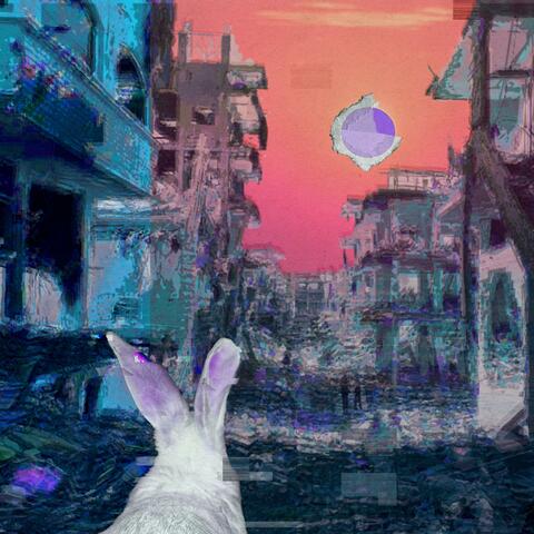 rabbit/hole album art