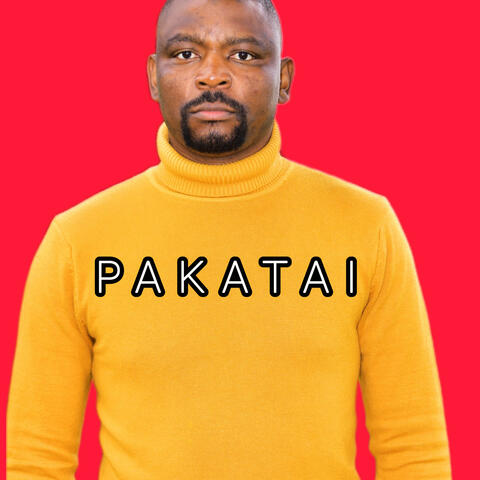 PAKATAI (Vaneni) album art