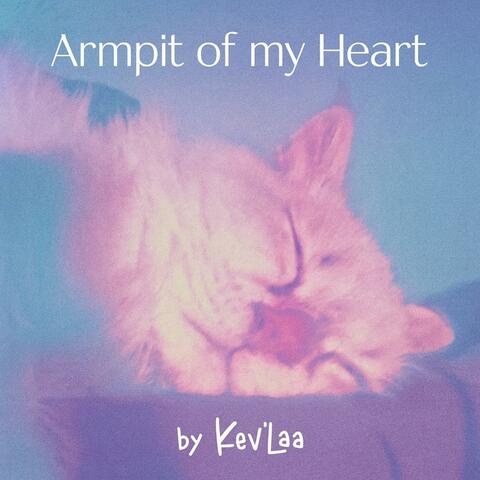 Armpit of my Heart (Helen's Rework) album art