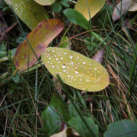 take me back album art