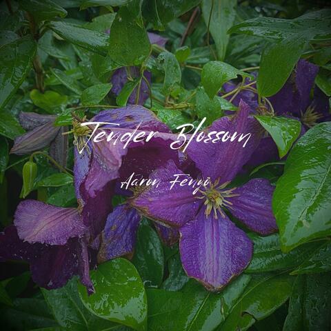 Tender Blossom album art