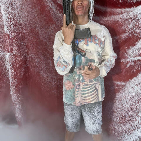 SnowBaLL Fightz 2 album art