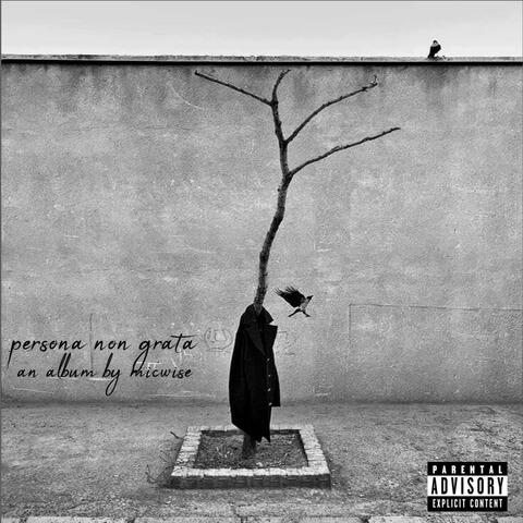 Persona Non Grata album art