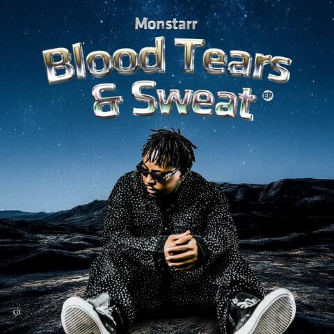 Blood Tears and Sweat album art