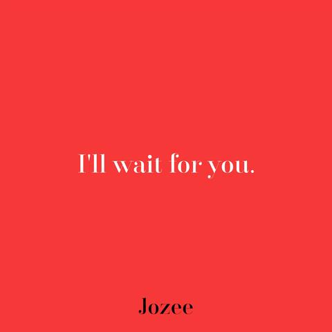 I'll Wait For You album art