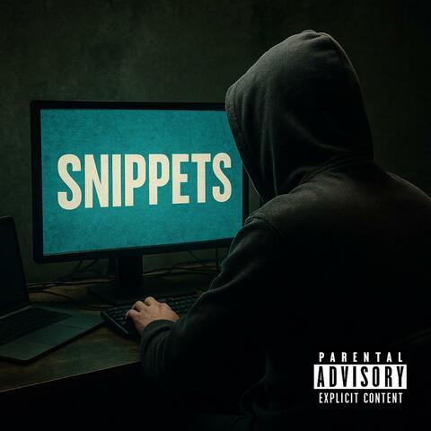 Snippets album art
