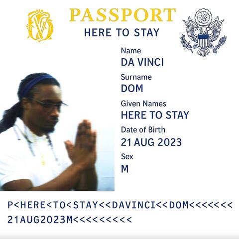 Here to stay (feat. Zoundpablo) album art