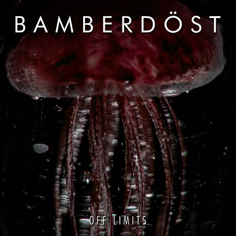 Off Limits album art