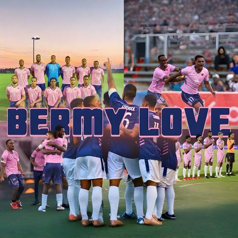 Bermy Love album art