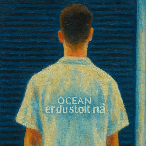 er du stolt nå? album art