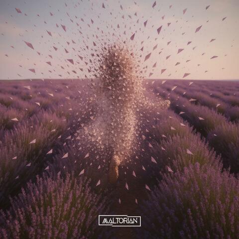 One Fear album art