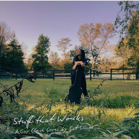 Stuff that Works album art