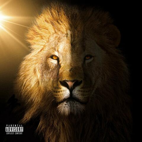 Lions album art