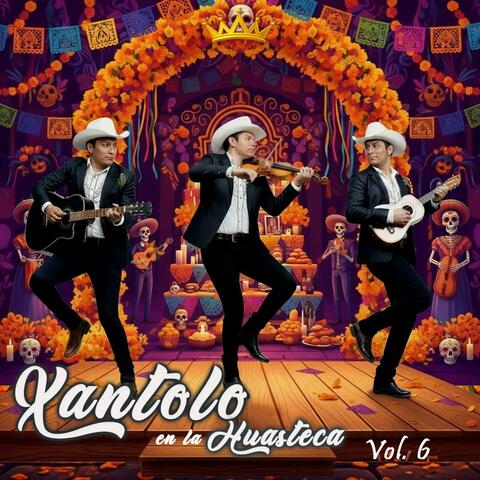 Fiesta en la Huasteca, Vol. 6 album art