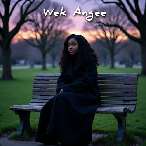 Lucky Pro - Wek Angee album art