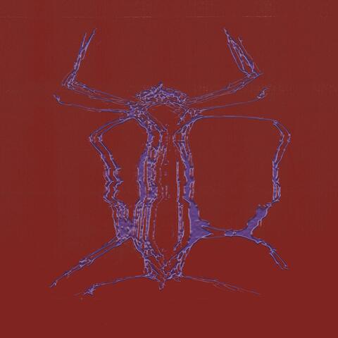 Meddle (feat. Sam Maloney) album art