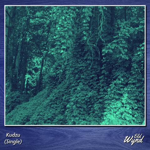 Kudzu album art