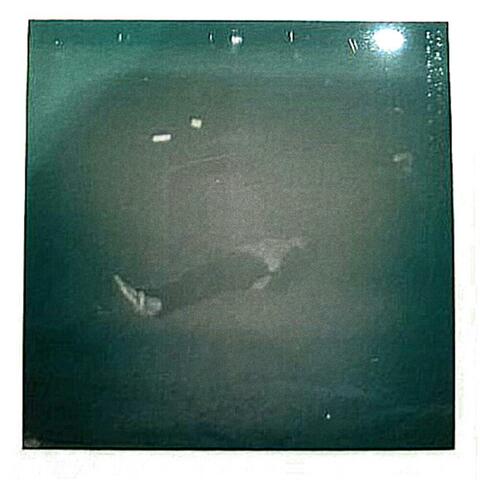 Feels Like I'm Falling in Love album art